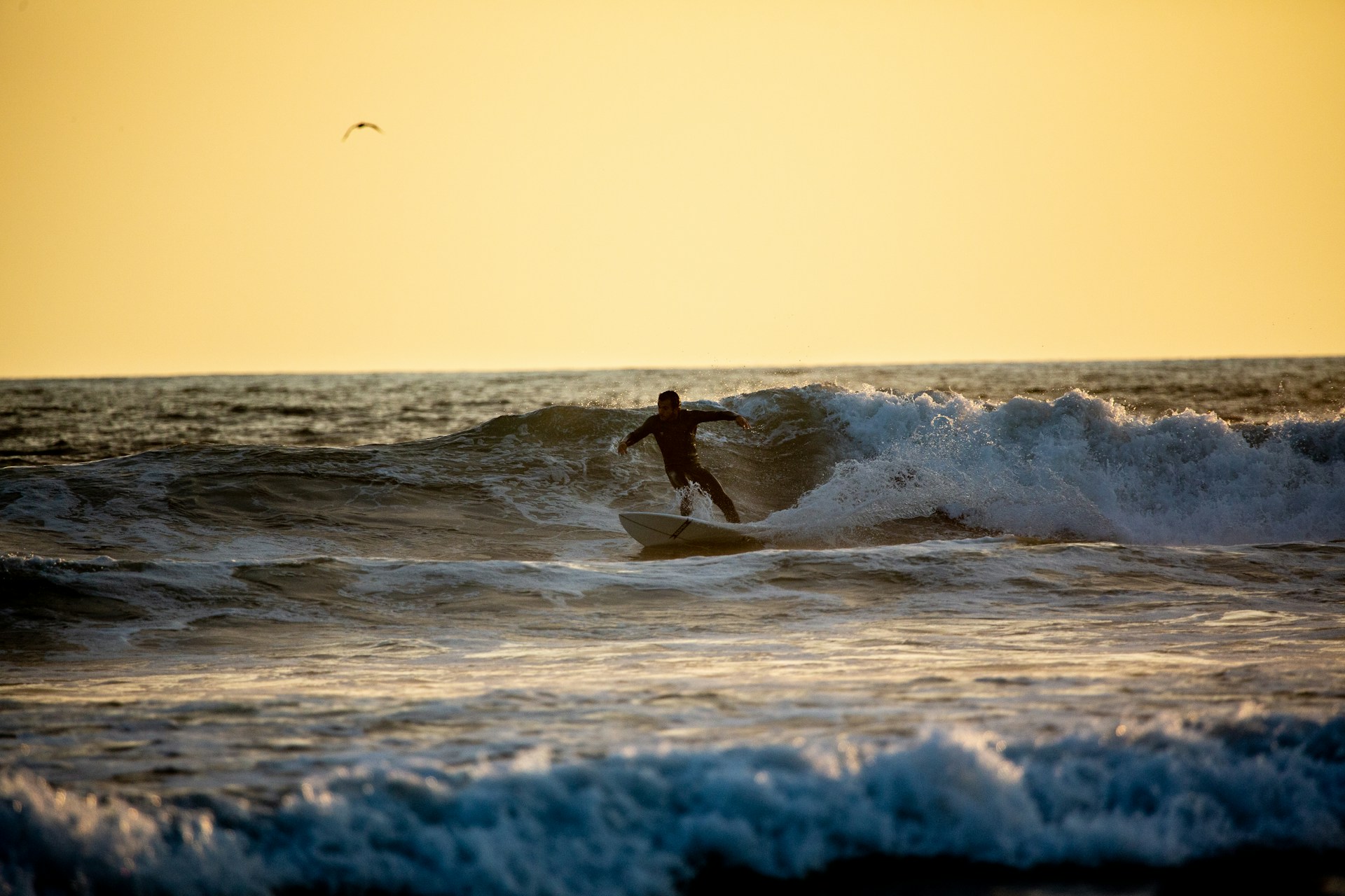 bob-oh-qwqFLxyKIJA-unsplash